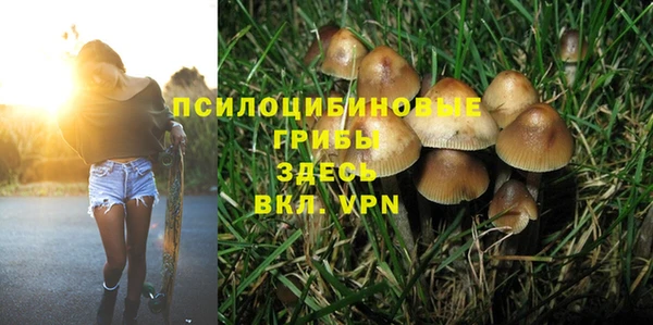 дмт Новокубанск