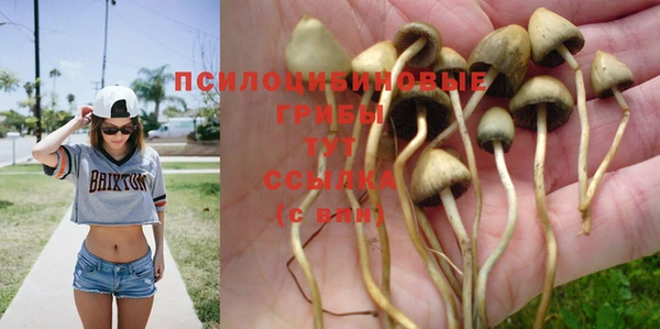 PSILOCYBIN Няндома
