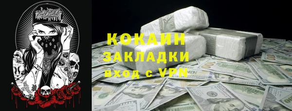 PSILOCYBIN Няндома
