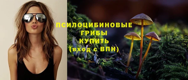Альфа ПВП Нязепетровск