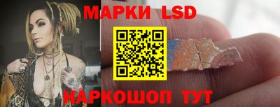 гашик Будённовск