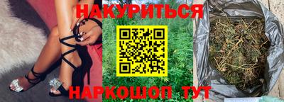 гашик Будённовск